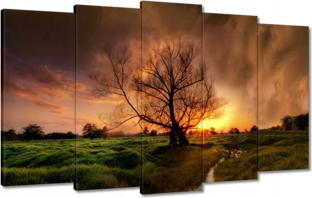 Vászonkép 100x60 Tölgy a croissant-ban Nyugat