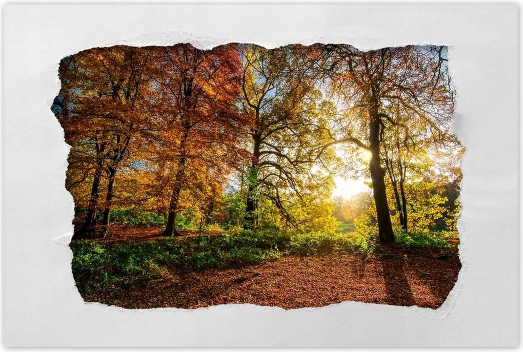 Poszterek 120x80 Tájkép