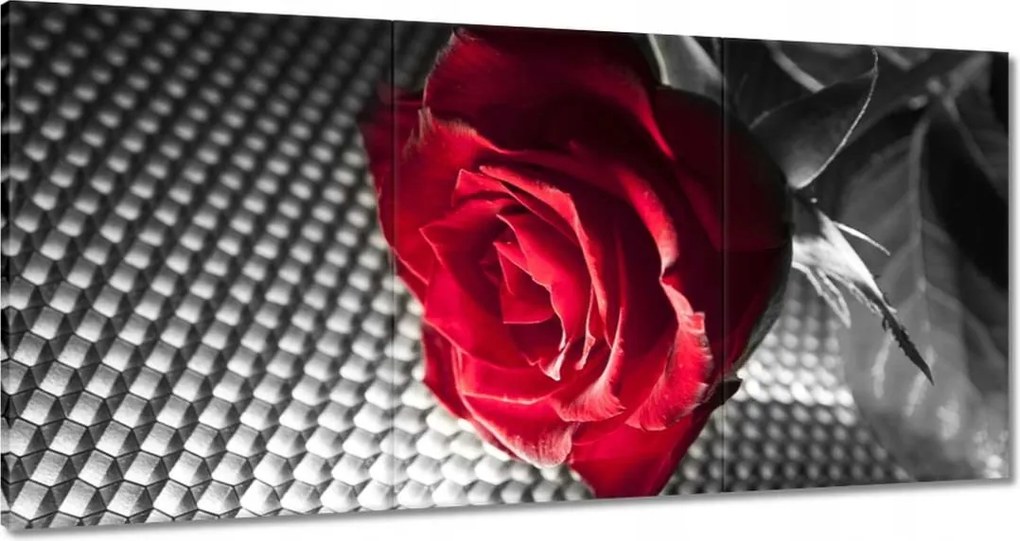 Vászonkép 180x90 Rózsa egy nőnek