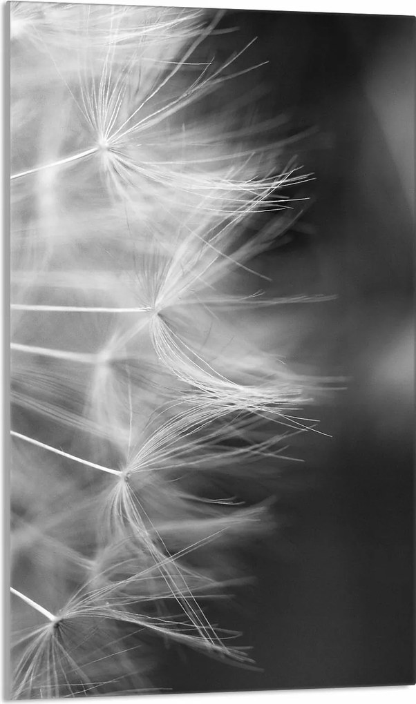 Üveg Vágódeszka 30x52 Virág a Konyhába