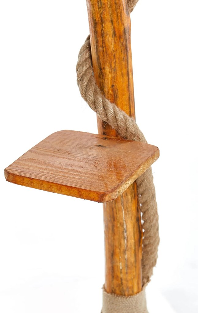 Állólámpa, Arbor