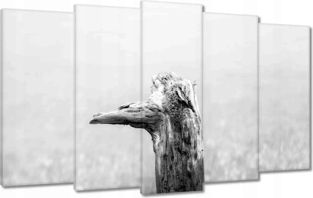 Vászonkép 100x60 Tengerpart Gyökér Homok