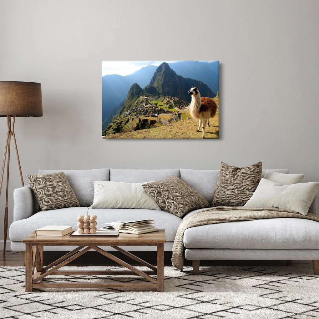Kép - Láma és Machu Picchu (90x60 cm)