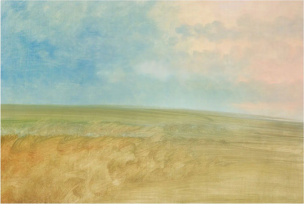 Dekoratív fotótapéta falra Könnyű összeszerelés Pasztell mezők 104x70 Ragasztó