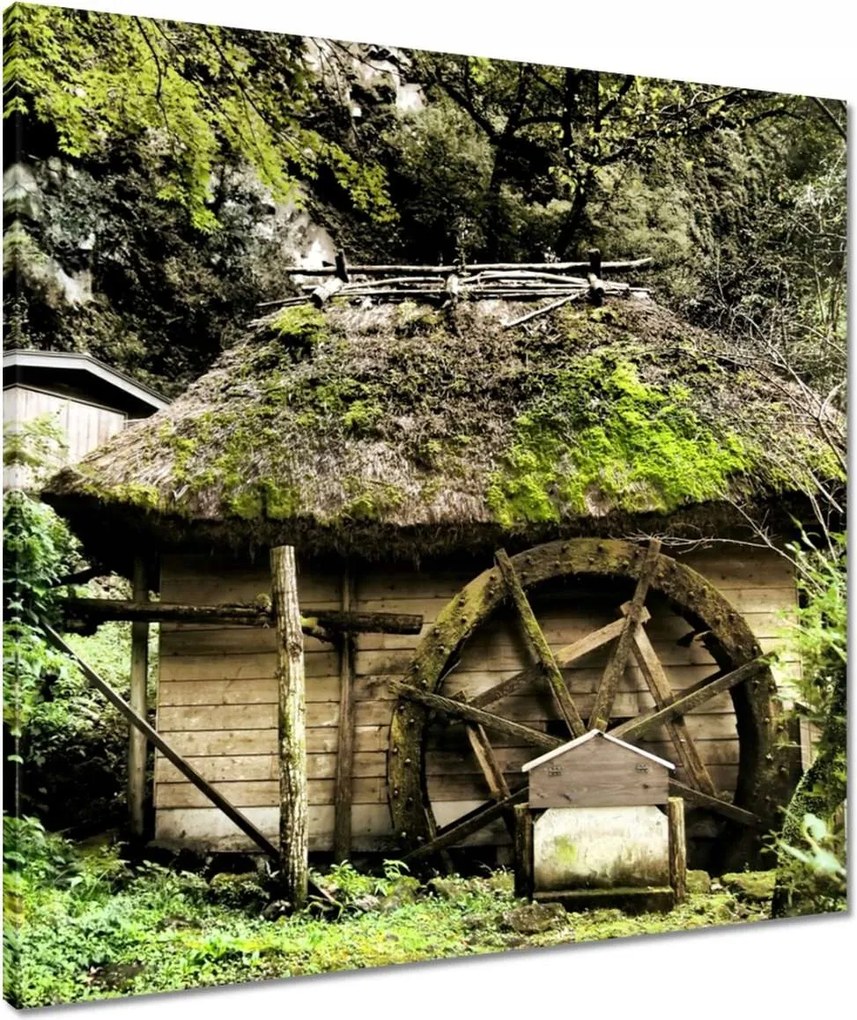 Vászonkép 60x60 Vízimalom nádtetővel