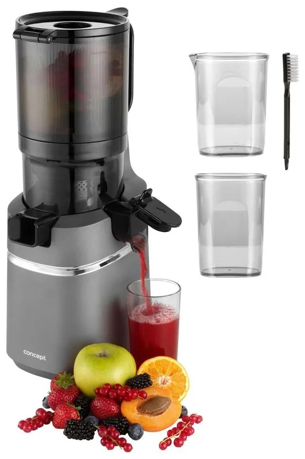 Concept LO7120 - Lassú facsaró JUICY 250W/230V szürke