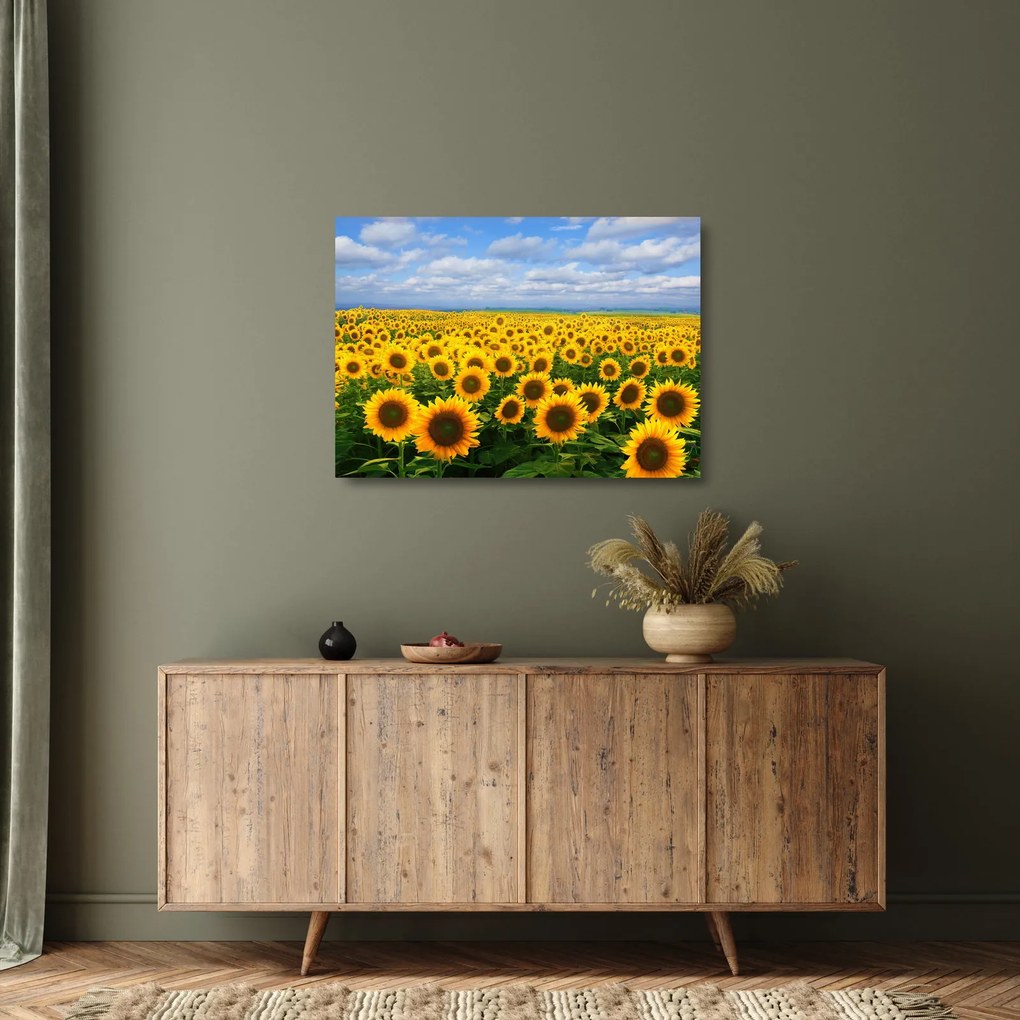 A napraforgó mező képe (üvegen) (70x50 cm)