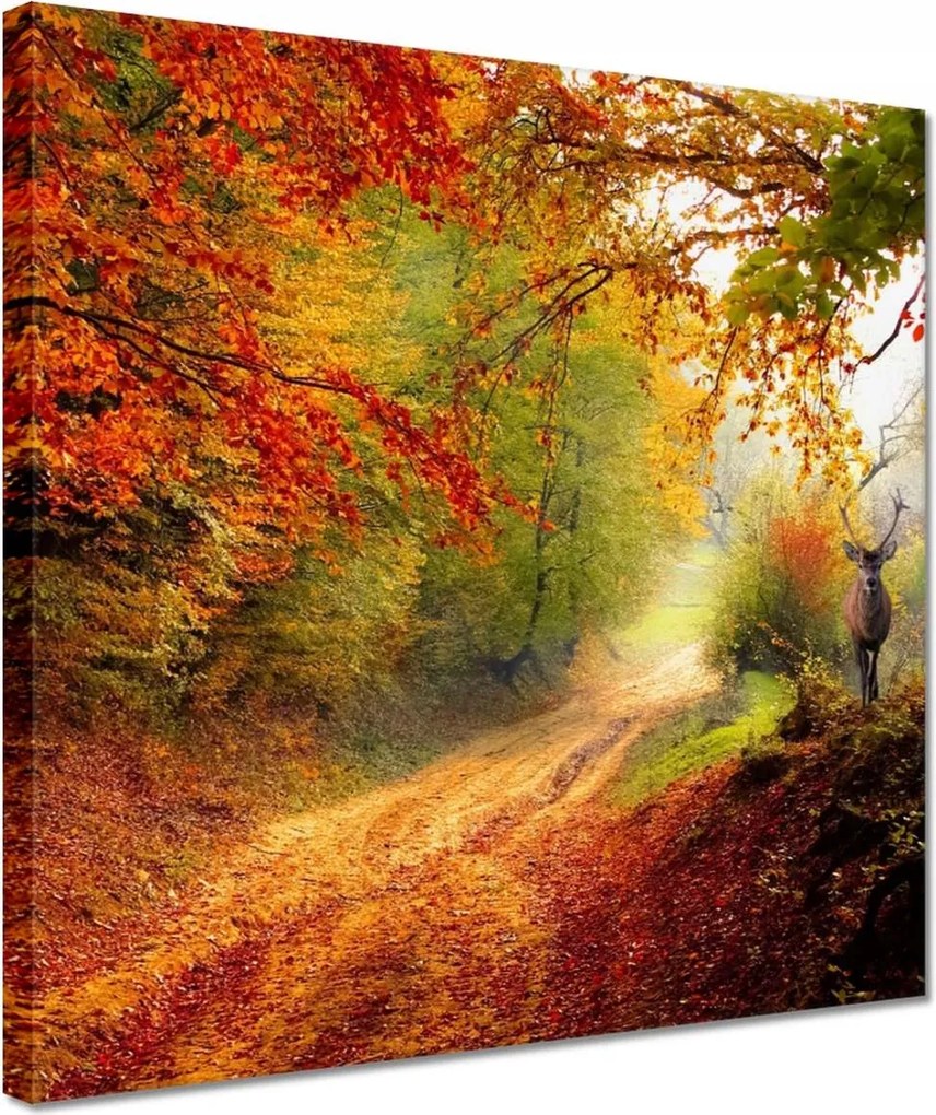 Vászonkép 30x30 Szarvas az erdőben