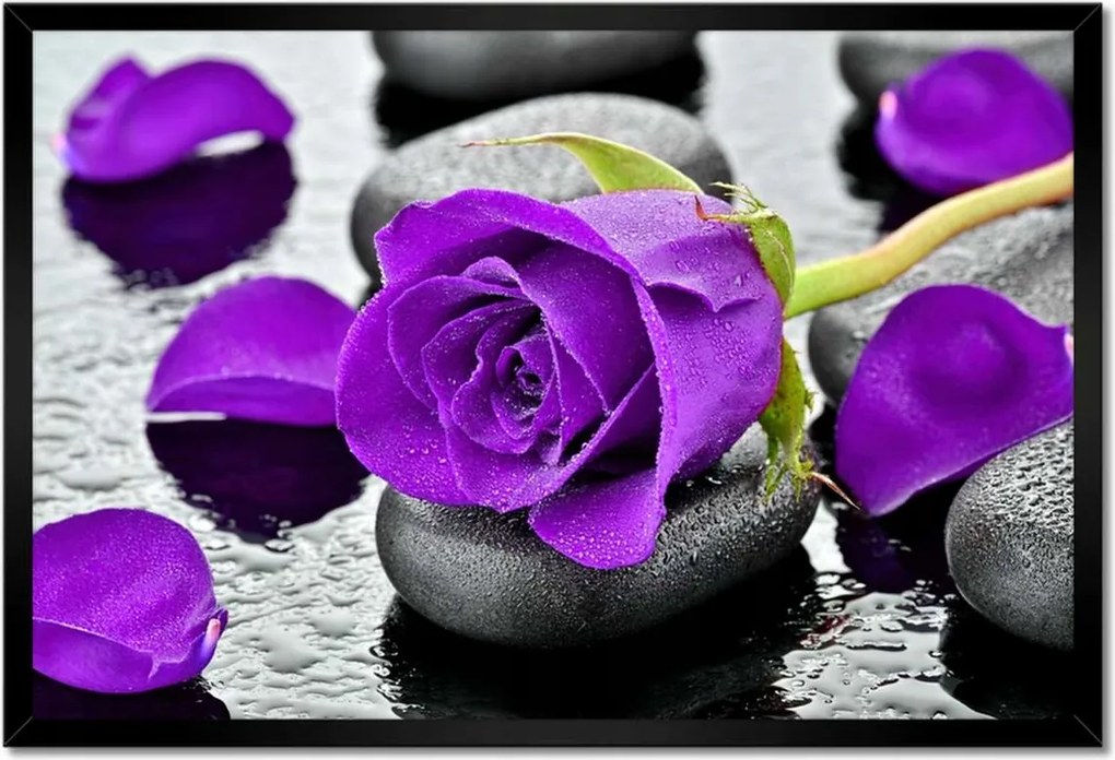Poszter keretben 60x40 Lila rózsa kövek