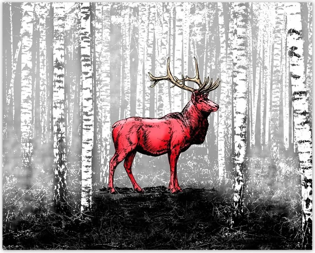 Poszterek 50x40 Szarvas Nyírfa Erdő