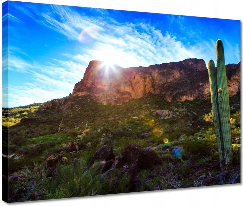 Vászonkép 40x30 Tájkép kaktuszokkal