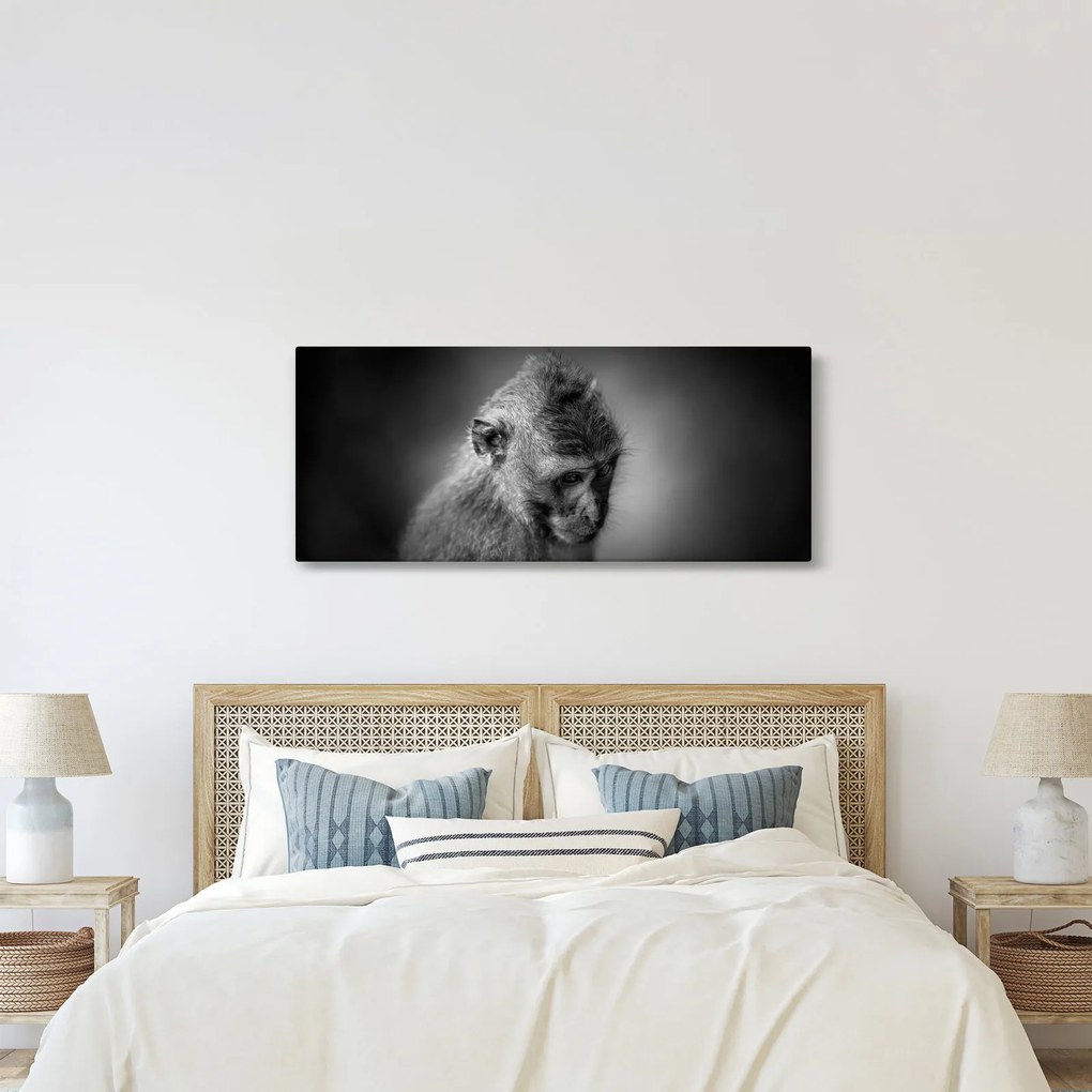 Kép - Majom (120x50 cm)