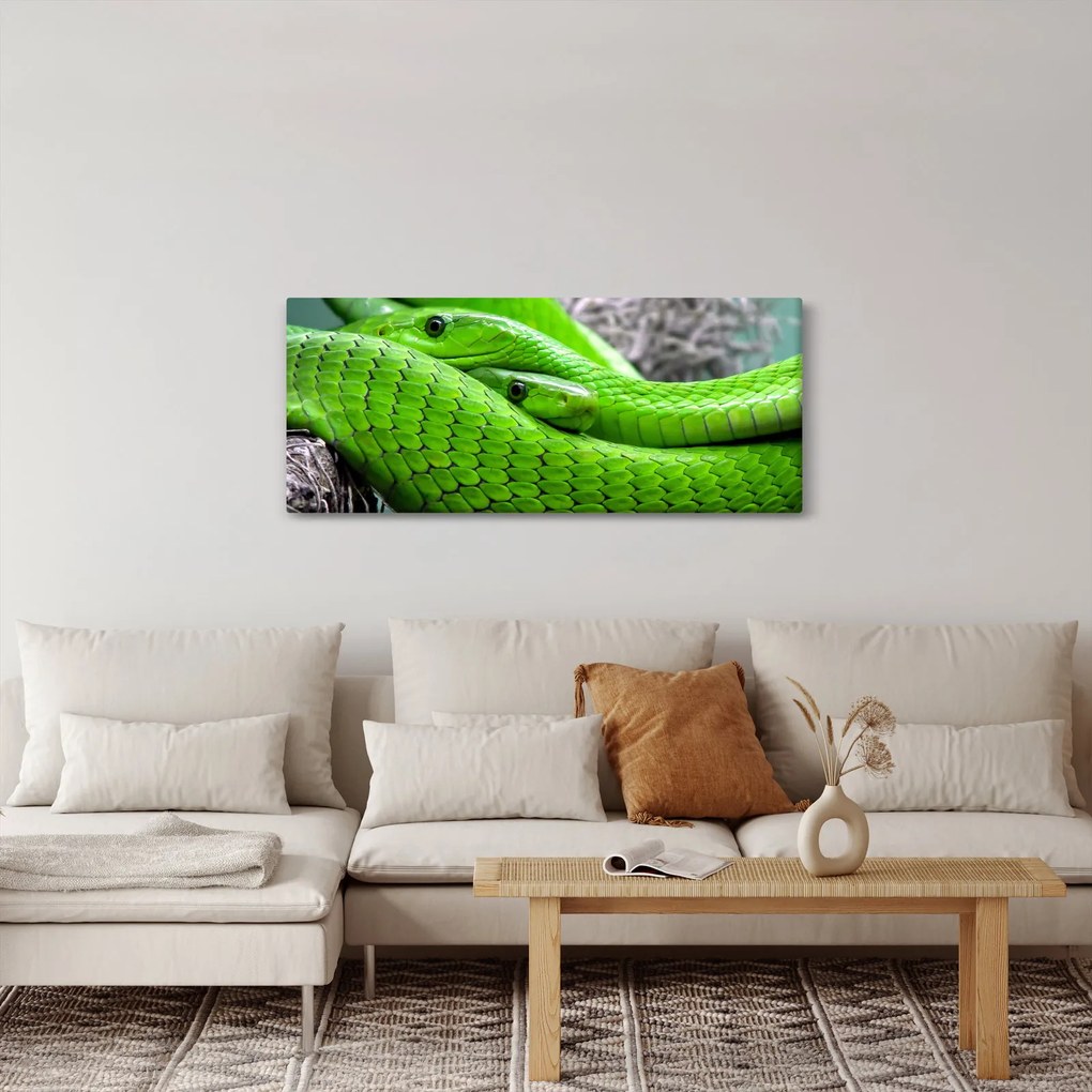 Zöld kígyók képe (120x50 cm)