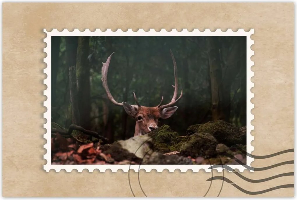 Poszter 60x40 Szarvas felszarvazott