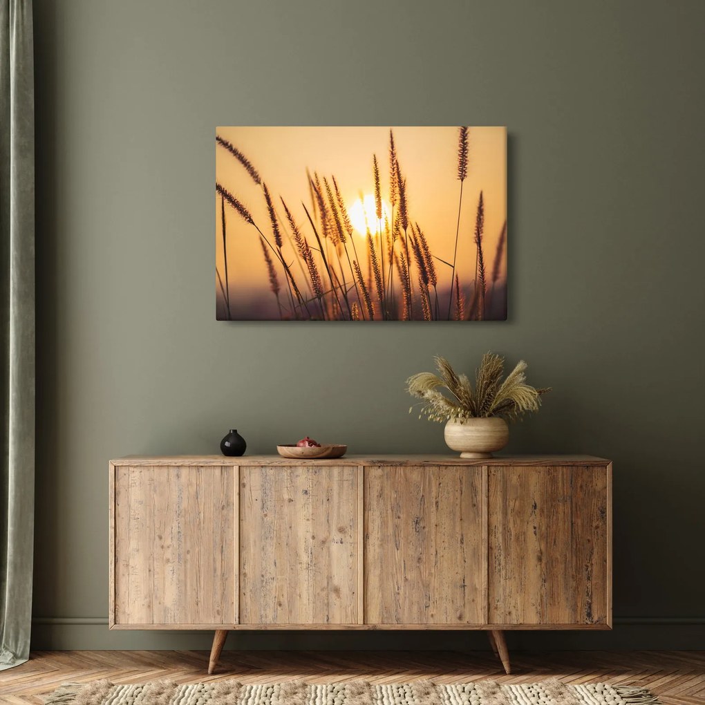Kép - Füvek a napon (90x60 cm)