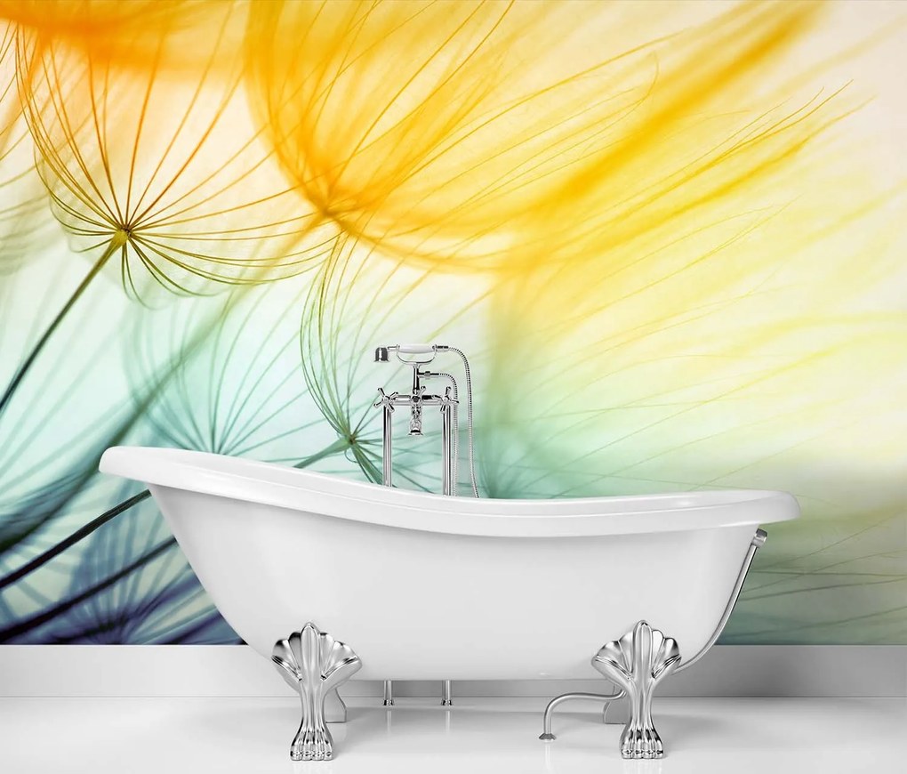 Gario Fotótapéta Színes pitypang Anyag: Vlies, Méret: 350 x 245 cm