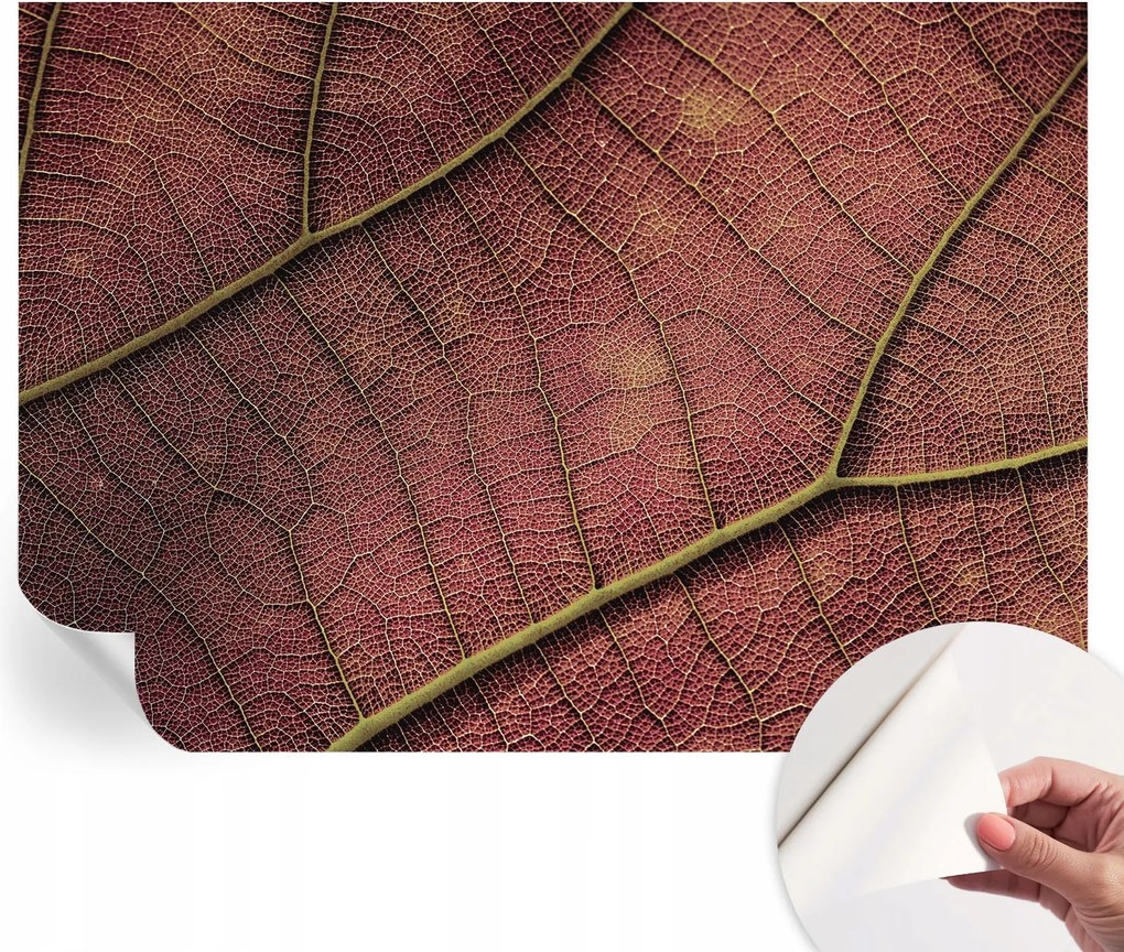 Öntapadós fotótapéta Falra 3D Loft Leveles textúra 208x146 cm