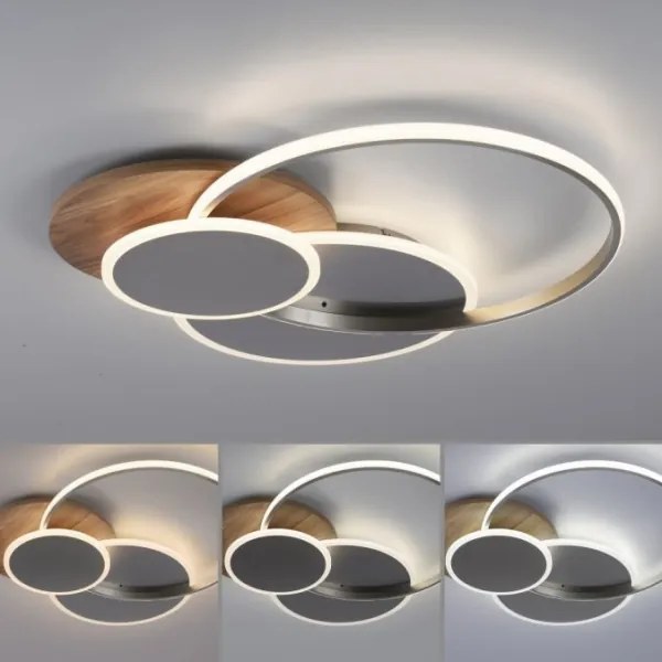 Paul Neuhaus 8328-79 - LED Dimmelhető mennyezeti lámpa PALMA LED/50W/230V + távirányító