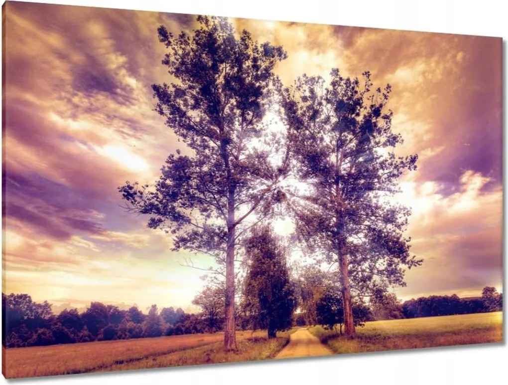 Festmények 120x80 Fák az út mellett