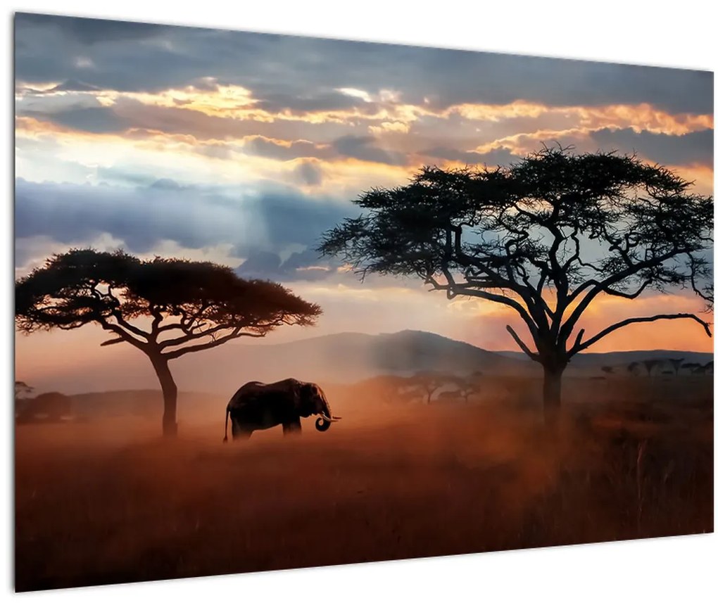 Kép - Serengeti Nemzeti Park, Tanzánia, Afrika (90x60 cm)