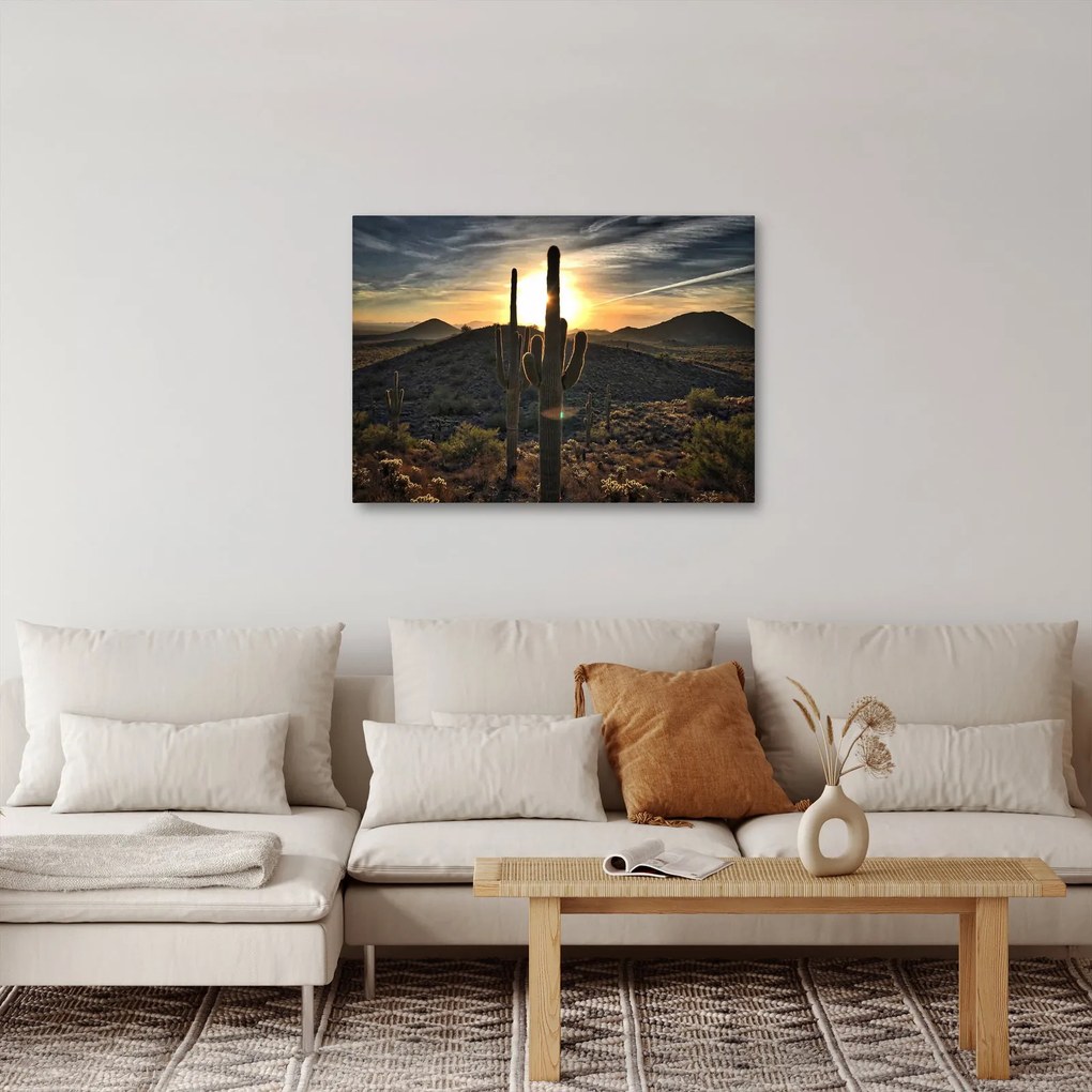 Kép - kaktuszok a napon (70x50 cm)