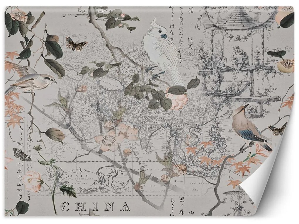 Gario Fotótapéta Vintage térkép és madarak - Andrea Haase Anyag: Vlies, Méret: 350 x 245 cm