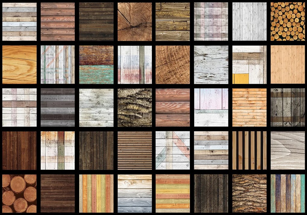 Fotótapéta Az élet fája Természet Fa szerkezet Modernitás 300x210 +ragasztó