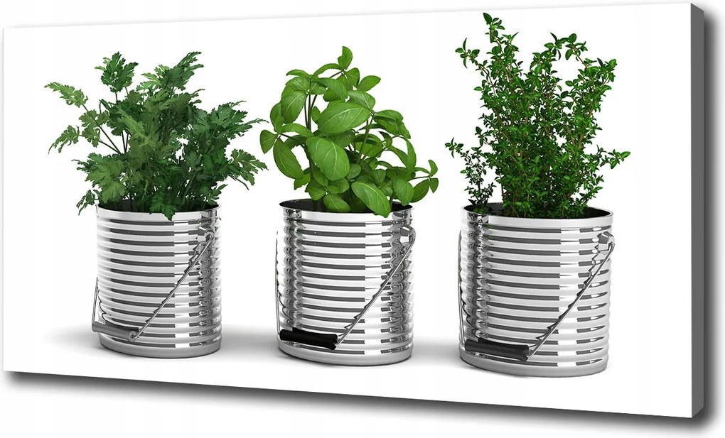 Vászonkép Aromás növények 100x70cm