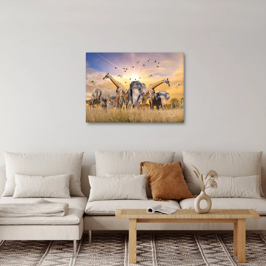 Kép - Afrikai állatok (70x50 cm)