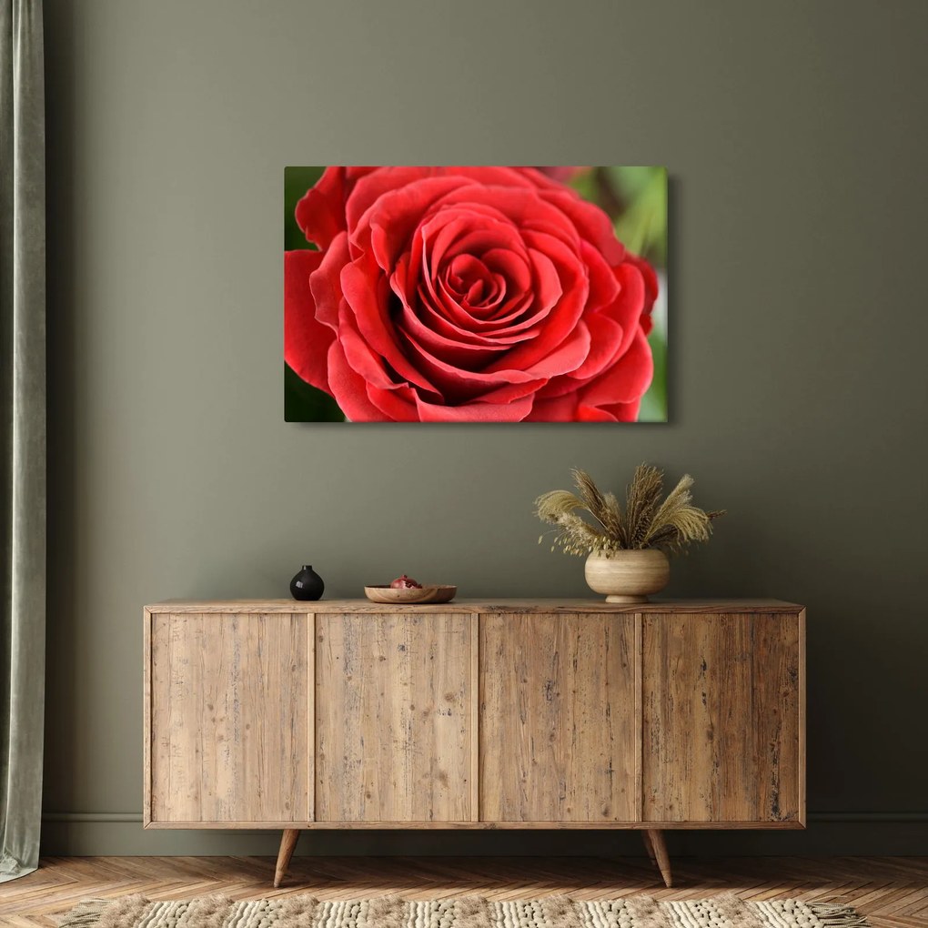 Egy rózsa virág képe (90x60 cm)