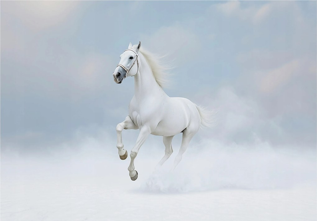 Fotótapéta Ló Fehér Felhők Állatok A Falon Hálószoba Nappali 150x105