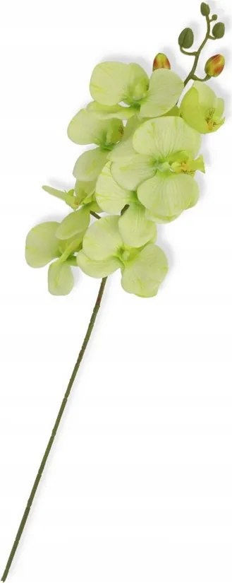Orchidea zöld ág 79cm művirág