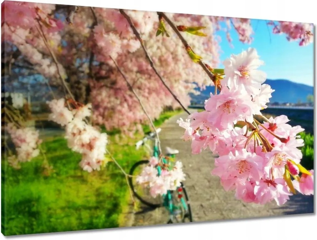 Vászonkép 90x60 Kerékpáros túra