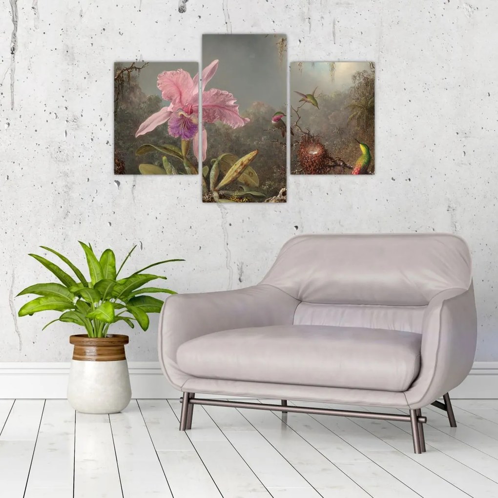 Kép - Martin Johnson Heade, Cattleya Orchid and Three Hummingbirds, reprodukciók (90x60 cm)