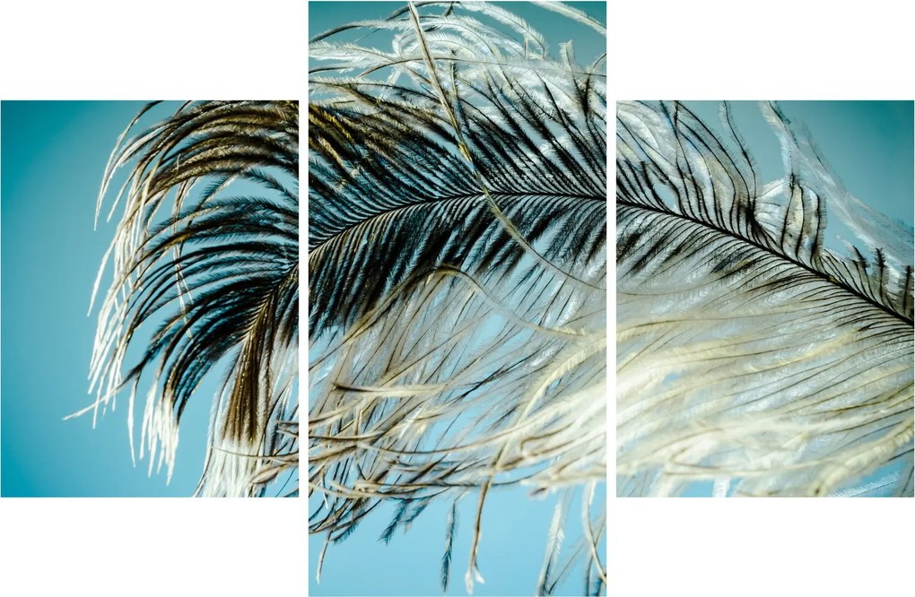Tollas kép (90x60 cm)