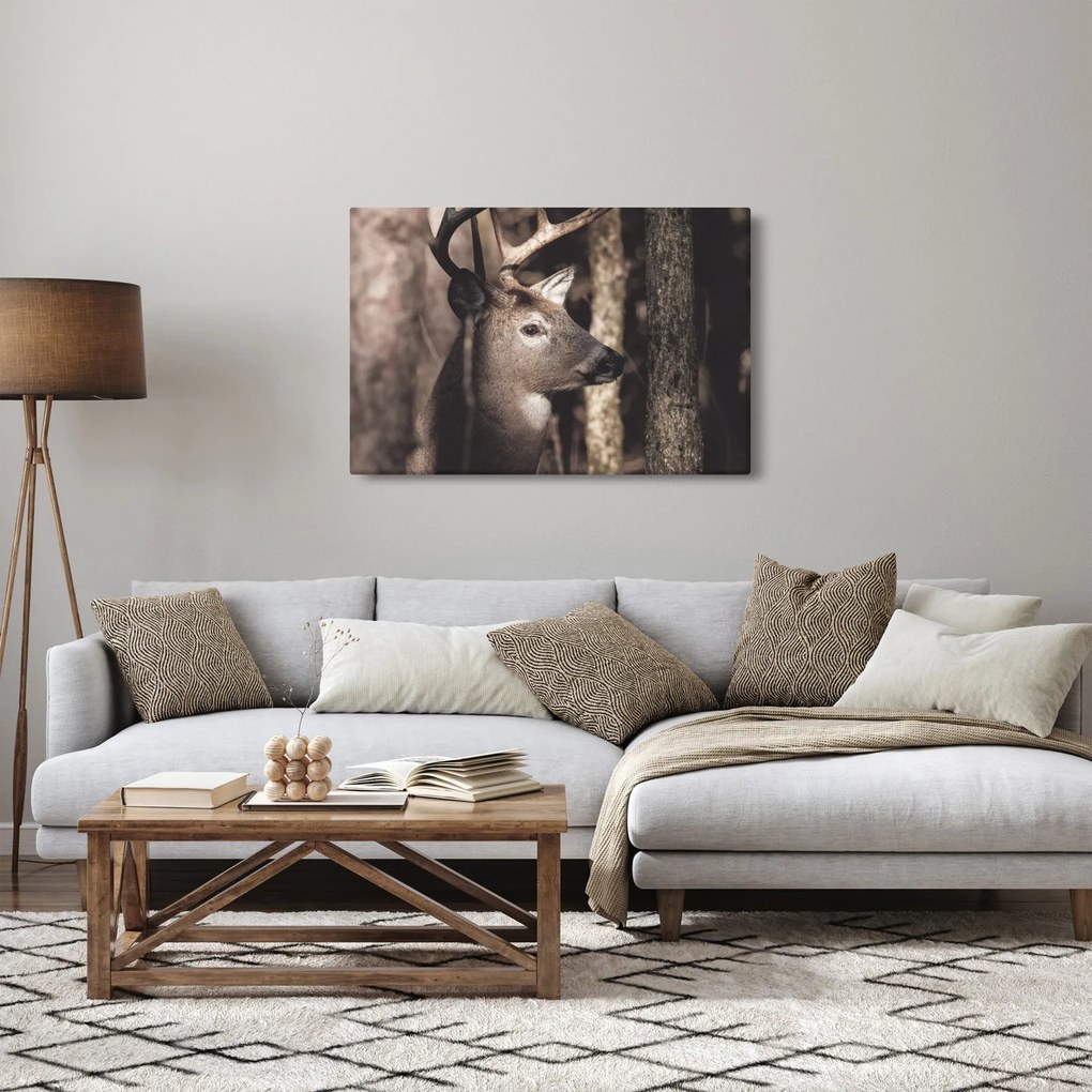 Kép - Szarvas az erdőben (90x60 cm)