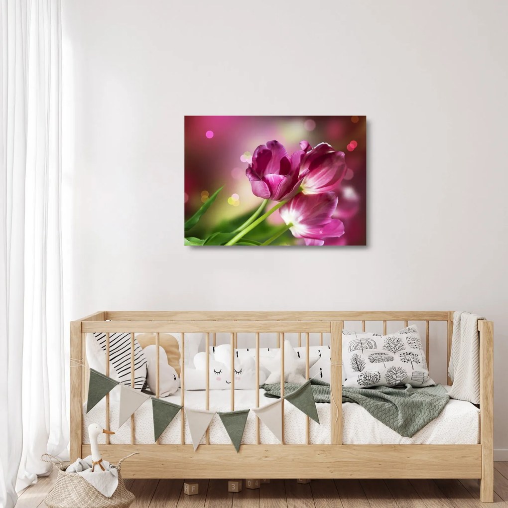 Rózsaszín tulipánok képe (üvegen) (70x50 cm)