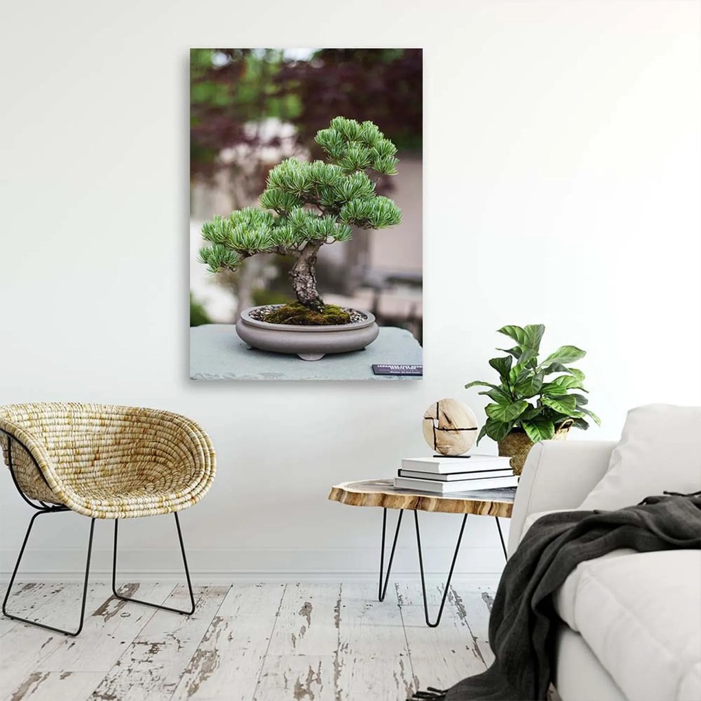 Gario Vászonkép Bonsai fa köveken Méret: 40 x 60 cm