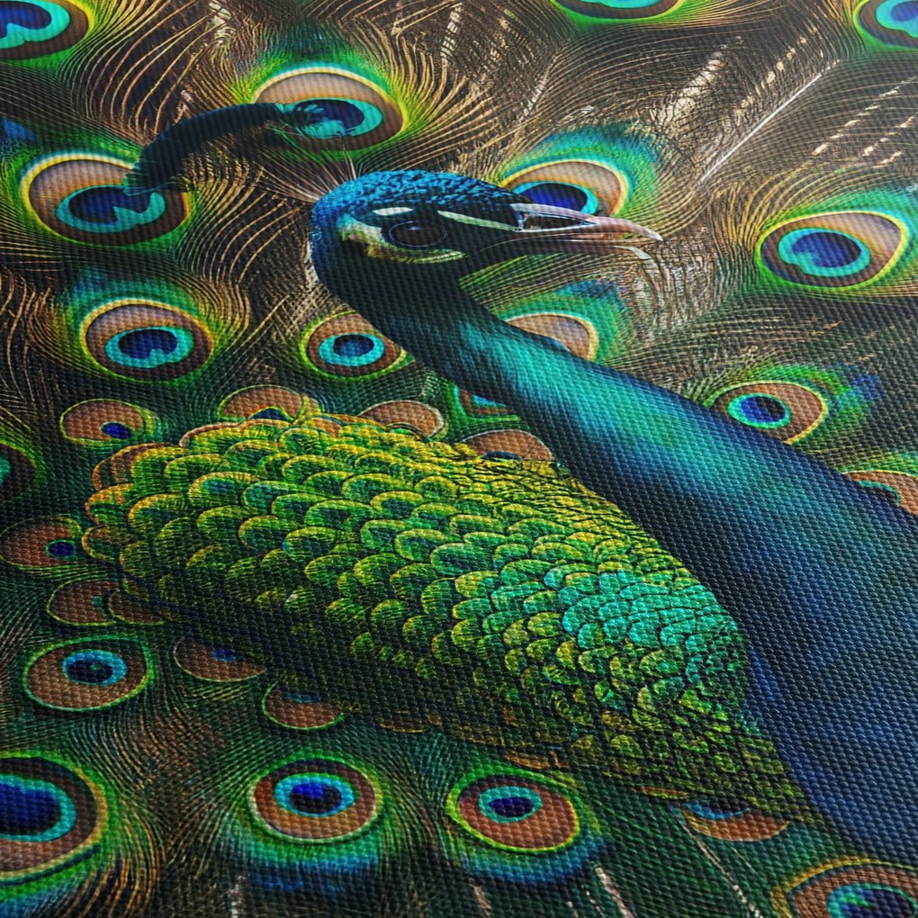 Kép – Pávatoll (90x60 cm)