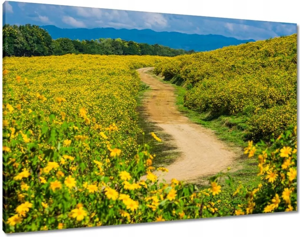 Vászonkép 100x70 Vidéki tejút