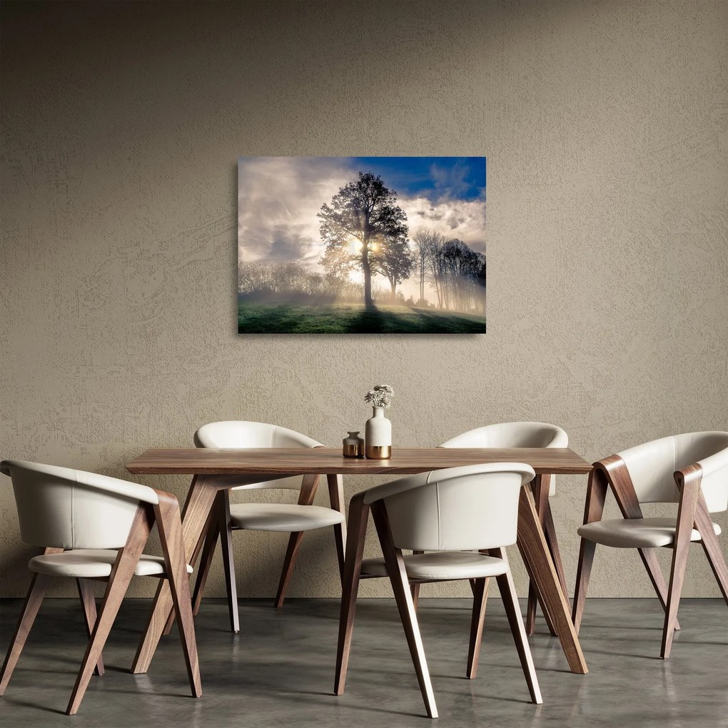 Fa a ködben képe (üvegen) (70x50 cm)