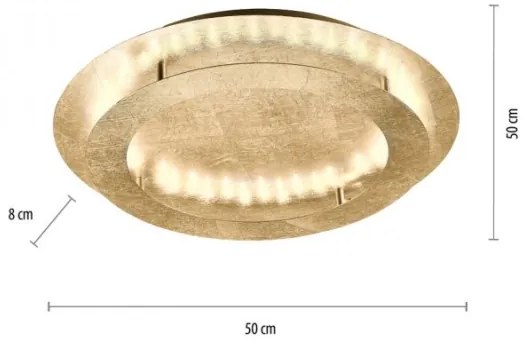 Paul Neuhaus 9621-12 - LED Mennyezeti lámpa NEVIS LED/24W/230V