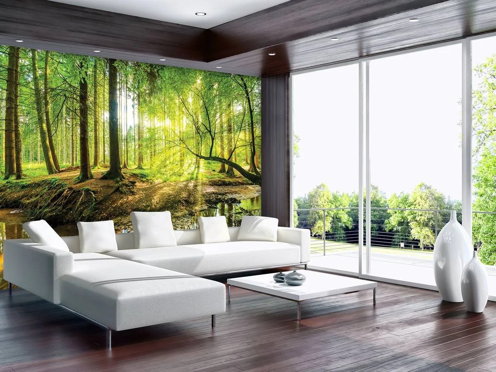 Fotótapéta - Napos erdő (152,5x104 cm)