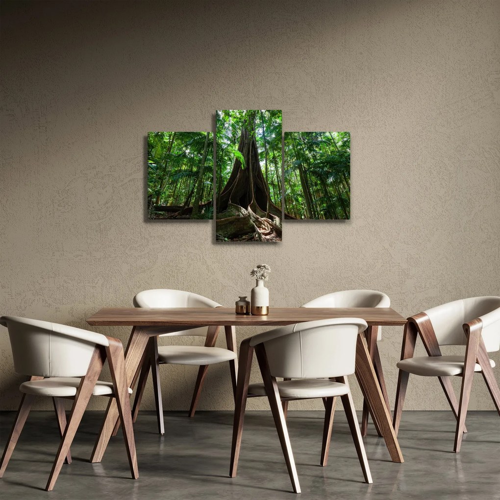 Kép - A fa gyökerei (90x60 cm)