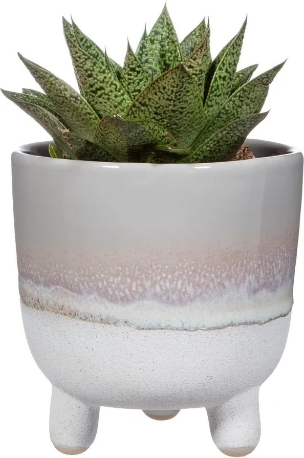 Bohemian Home Mojave szürke virágcserép, ø 11,7 cm - Sass &amp; Belle