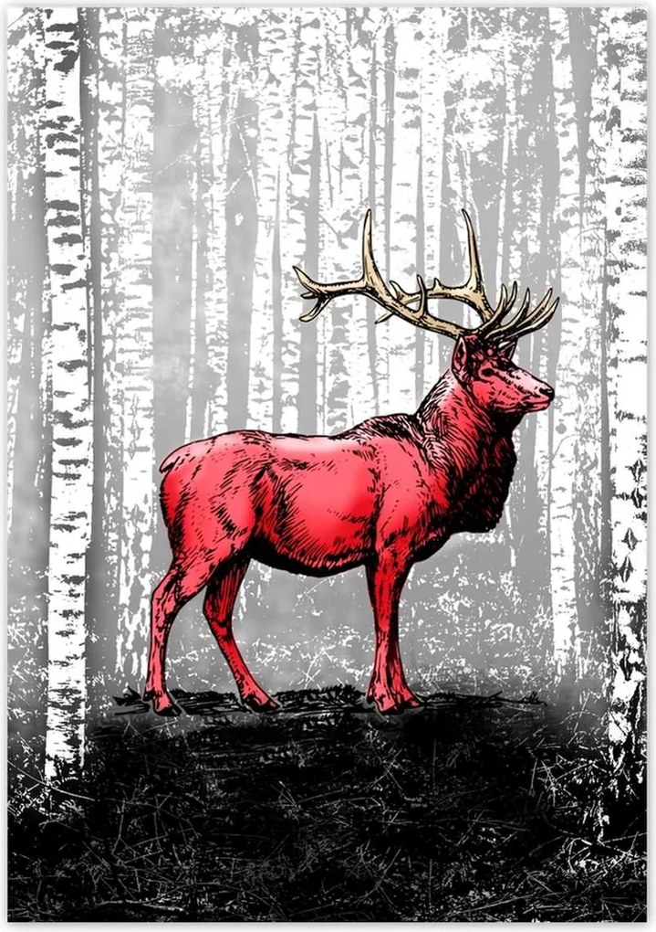 Poszterek 70x100 Szarvas Nyírfa Erdő