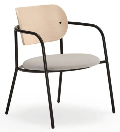 Világosszürke fotel kőrisfa dekorral Eclipse - Teulat