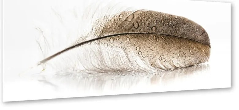 Glasspik Wings fali kép, 50 x 125 cm - Styler