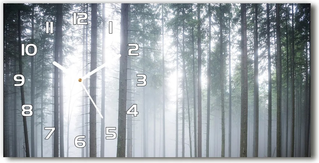 Üveg falióra Csendes köd az erdőben 60x30 cm