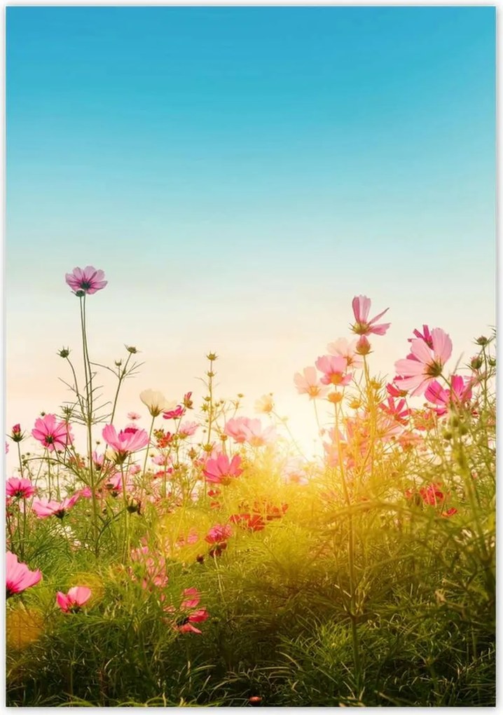 Poszterek 70x100 Kozmikus virágok